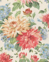 Imitation 1 Blossom by  Stout 