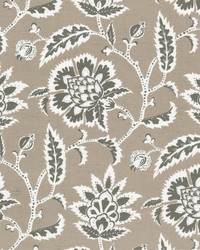 Inquire 2 Stone by  Stout 