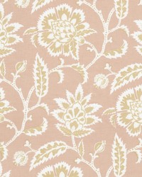 Inquire 4 Carnation by  Stout 