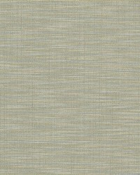 Jacqueline 1 Dill by  Stout 