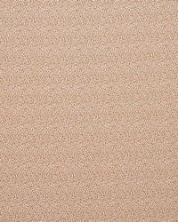 JAKARTA 2 CHESTNUT by  S Harris 