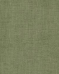 Jalen 1 Moss by  Stout 