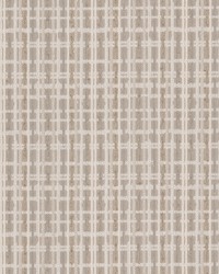 Jammu 1 Desert by  Stout 