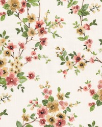 Jericho 1 Blossom by  Stout 