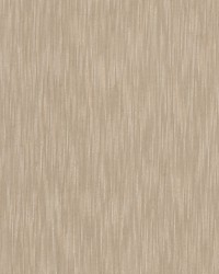 Jockey 1 Sandalwood by   