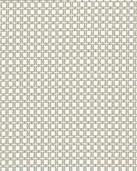 Jovie 2 Mist by  Stout 