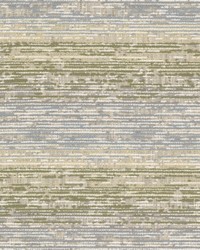 Junior 1 Thistle by  Stout 