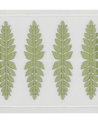 Kailua Tape 3 Moss KAIL-3 by   