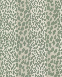 Kalahari 1 Bay by  Stout 