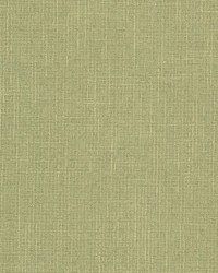 Keegan 1 Pistachio by  Alexander Henry 