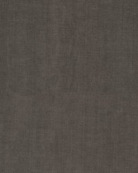 Keen 1 Bark by  Stout 