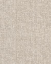 Keypunch 1 Pongee by  Stout 