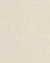 Keypunch 2 Champagne by  Stout 