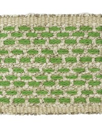 Kidman Tape 2 Fern KIDM-2 by   