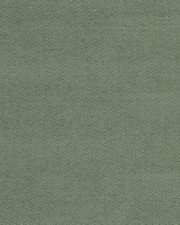 Kiev 1 Seedling by  Stout 