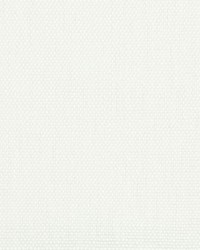 KILO 3 PEARL by  Stout 