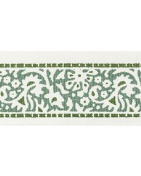 Kinsey Tape 5 Jungle KINS-5 by  Stout Trim 