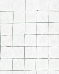 Kite 1 Dewkist by  Stout 