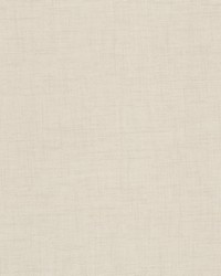 Kombucha 1 Bone by  Stout 