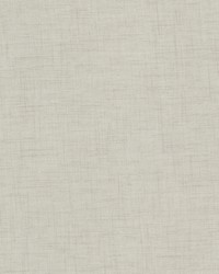 Kombucha 2 Dove by  Stout 