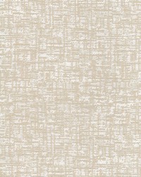 Laclouise 2 Champagne by  Creative Fabrics 