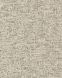 Laclouise 3 Shadow by  Creative Fabrics 