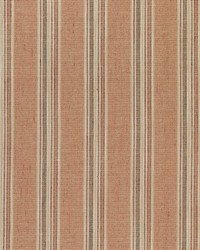 Lacrosse 3 Paprika by   