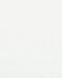 LARUZ 2 SNOW by  Stout 