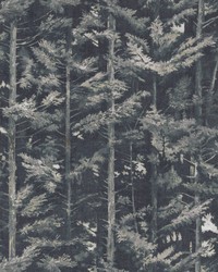 Latvia 3 Charcoal by   