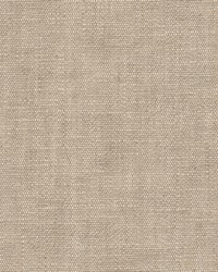 Lily 1 Taupe by   