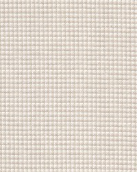 Lima 2 Putty by  Stout 