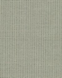 Limbo 2 Aloe by  Stout 