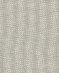 Lola 1 Seamist by  Stout 