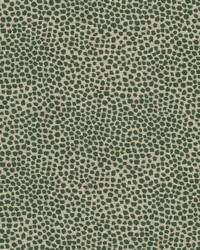 Lollypop 3 Bottle by  Alexander Henry 