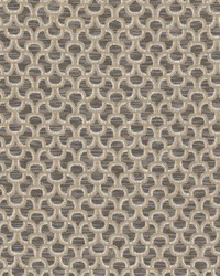 Lost 3 Acorn by  Stout 