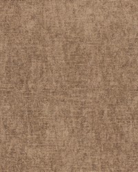 Macaron 11 Nutmeg by   