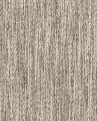 Macy 1 Taupe by   