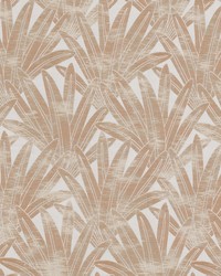 Madagascar 1 Copper by   