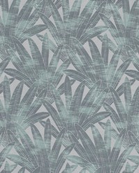 Madagascar 2 Caribbean by   