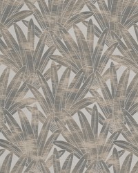 Madagascar 3 Aluminum by   