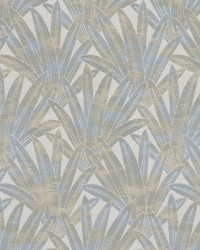 Madagascar 4 Wedgewood by   