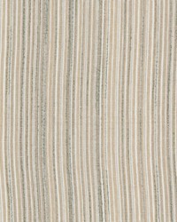 Madeline 5 Seedling by   