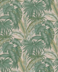 Magpie 1 Evergreen by  Stout 