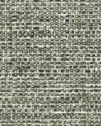 MASQUERADE 4 CHARCOAL by  Stout 