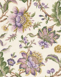 Mcbride 1 Hyacinth by  Stout 