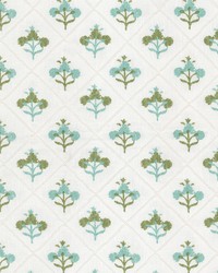 Medallion 2 Bahama by  Stout 