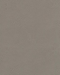 Miguel 1 Agate by  Stout 