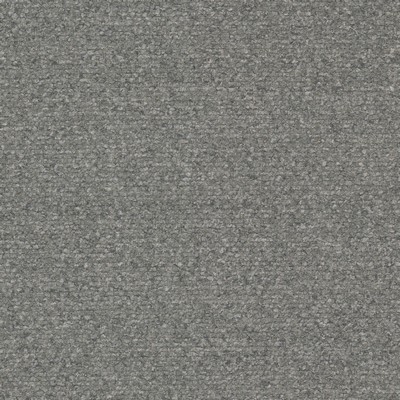 Stout Mime 1 Dove DAYDREAMS MIME-1 Grey DRAPERY Polyester Polyester