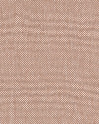 Mitcham 1 Shrimp by  Stout 