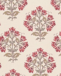 Mixedbag 1 Rhubarb by  Stout 